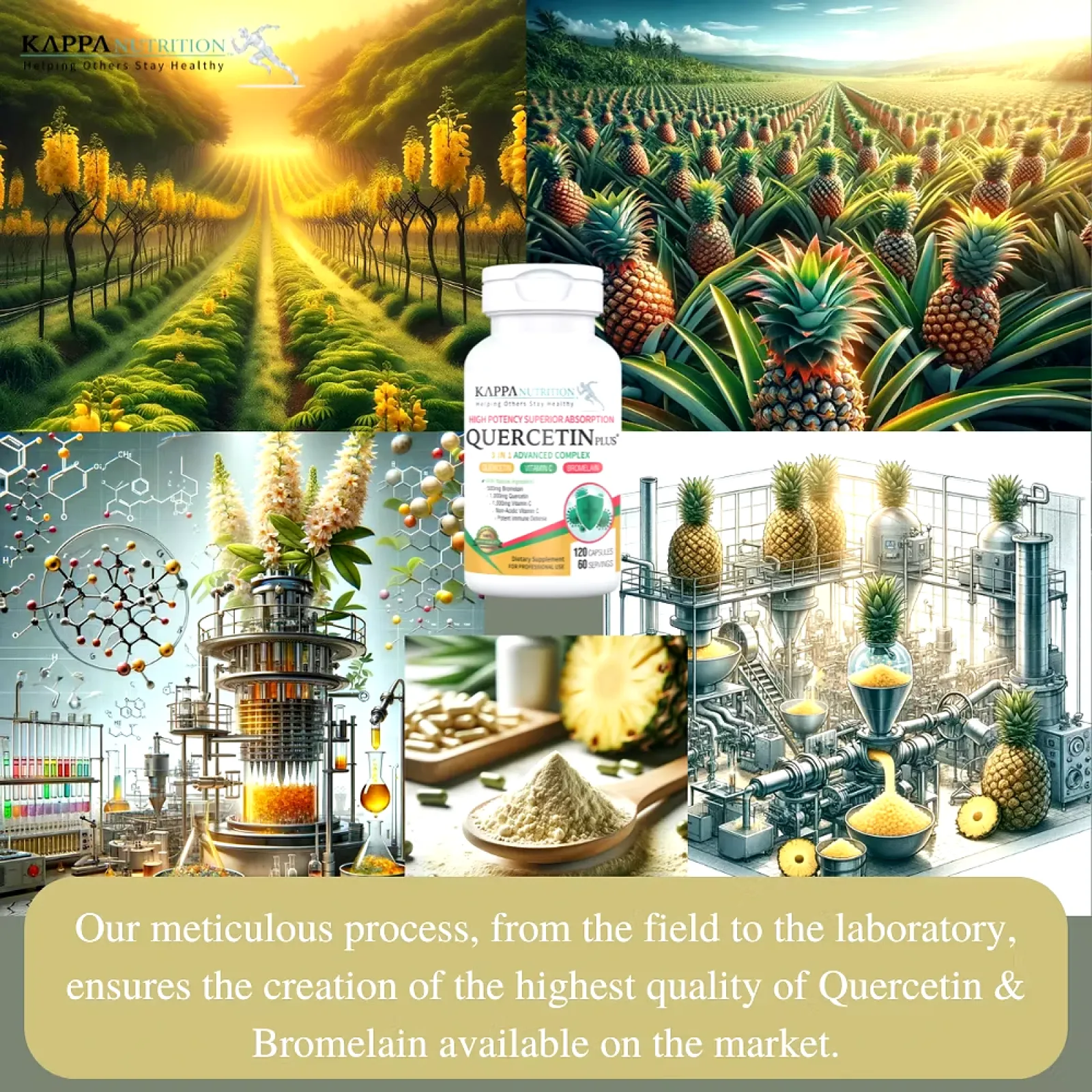 Quercetin