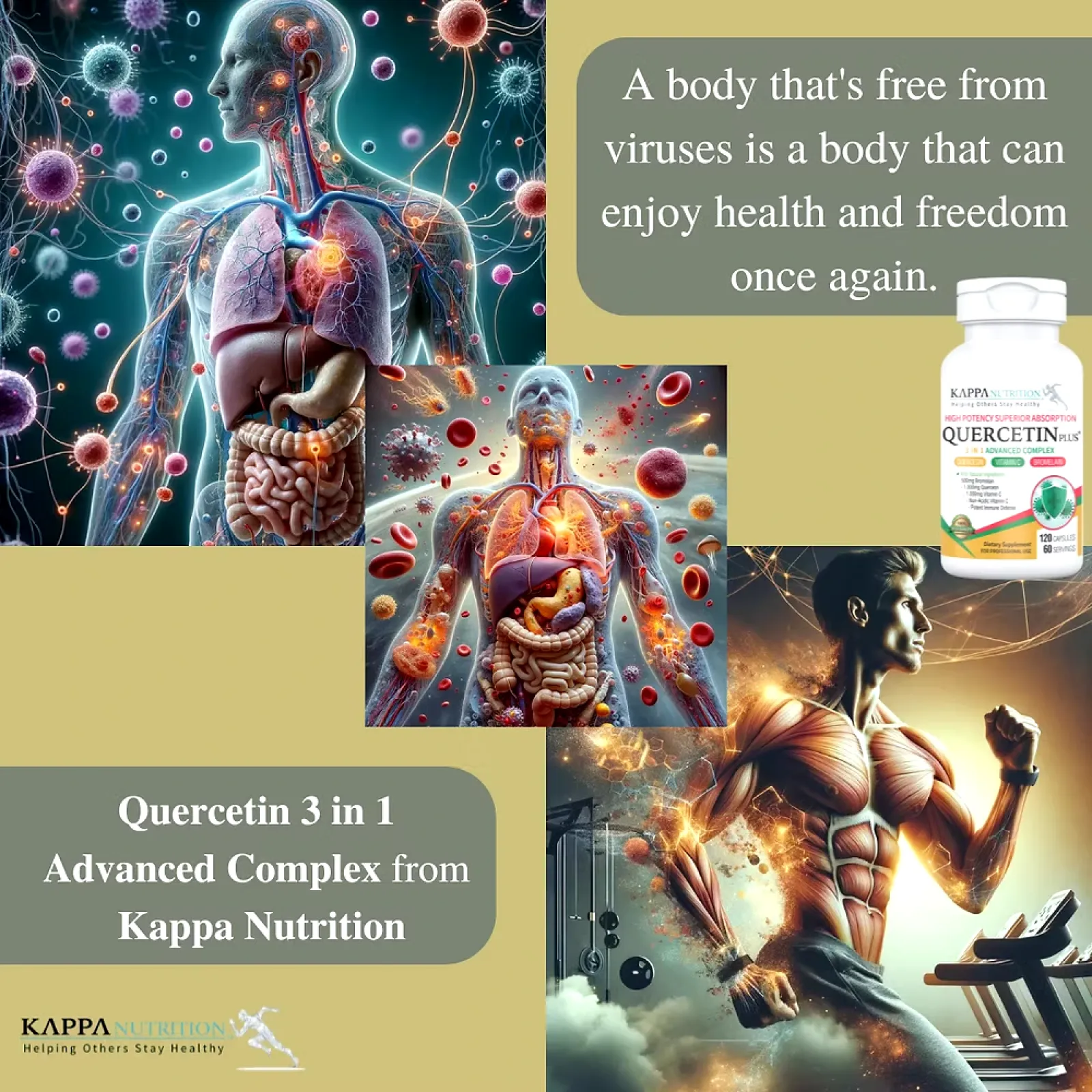 Quercetin