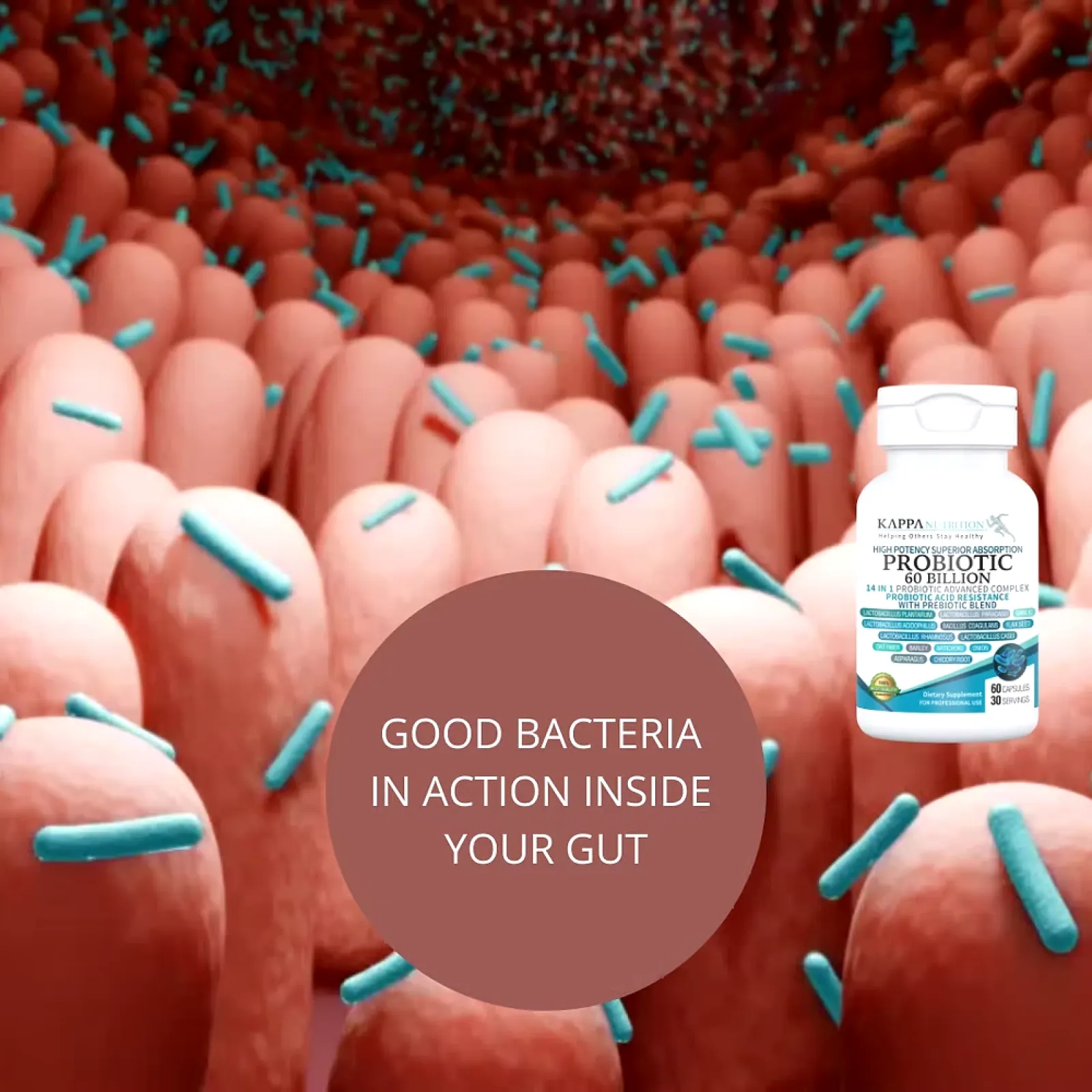 Probiotic 60 Billion